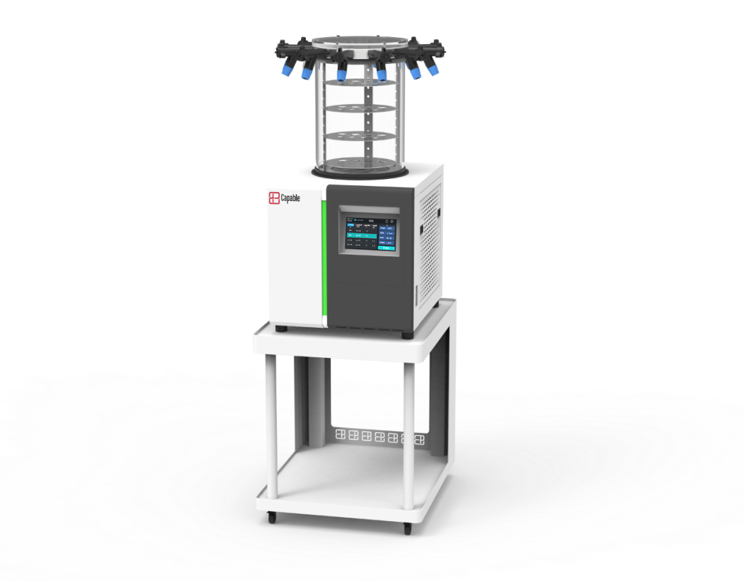 【展会动态】ued官网体育 CSBM 2025 中国生物材料大会精彩回顾!