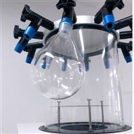 ued官网体育仪器厚壁茄型瓶 1000ml 冻干机 专用外挂瓶